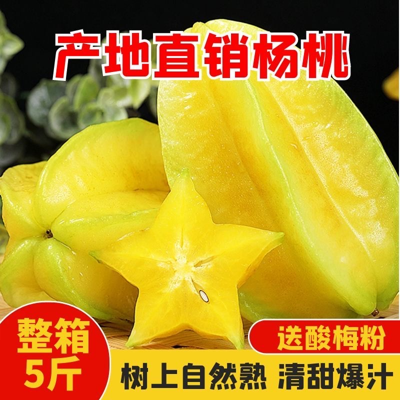 广东杨桃应季新鲜水果清甜可口多汁香味浓郁果园采摘健康轻食水果