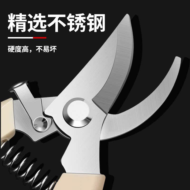 花剪园艺园林修枝园丁剪嫁接强力采摘省力修水果树剪树枝剪刀专用