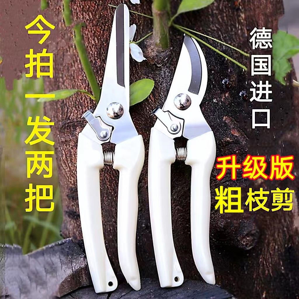 日本进口修枝剪秀美 ARS 130DX 园艺手剪刀原装正品果树整枝剪