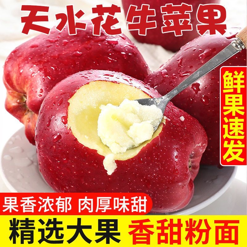 【顺丰包邮】甘肃天水花牛苹果新鲜美当季松脆水果整箱苹果5斤/9斤
