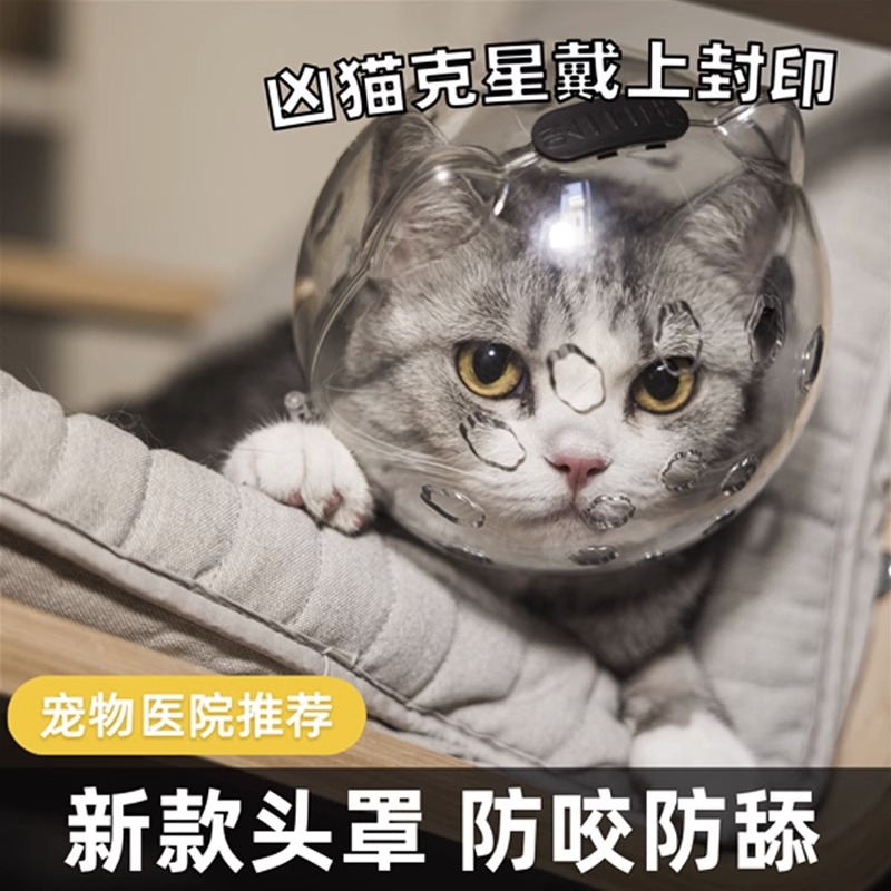 伊丽莎白圈猫头套防咬防舔防抓太空头罩猫脖圈宠物猫咪头套猫头盔