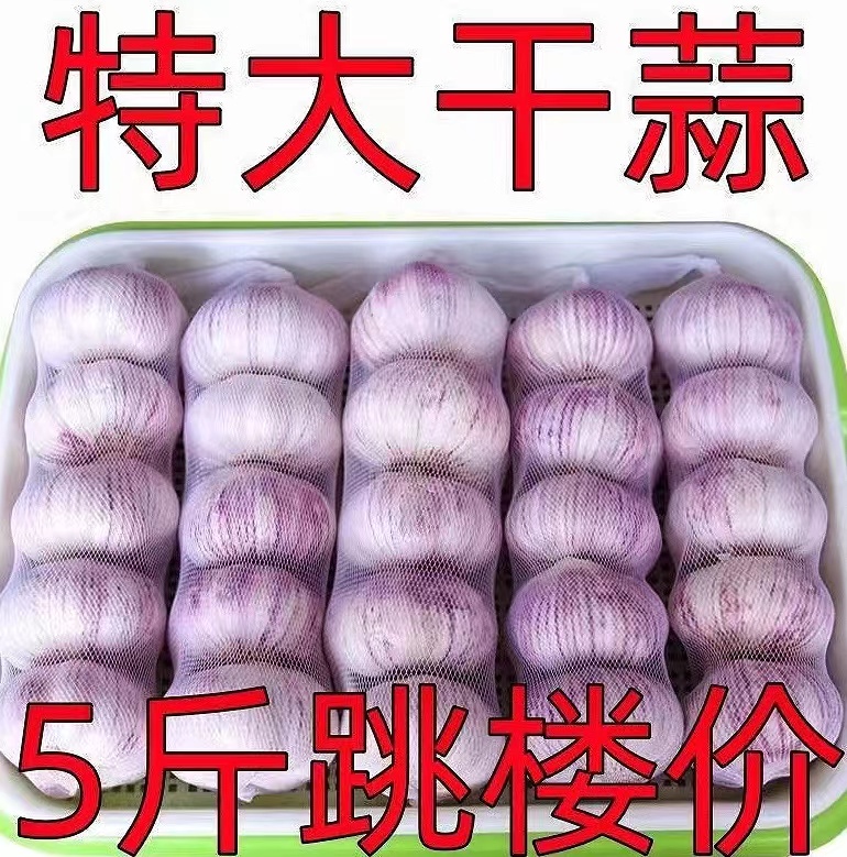 【特大干蒜】山东正宗紫白皮5斤100g干大蒜新晒干蒜多瓣蒜大蒜蒜味