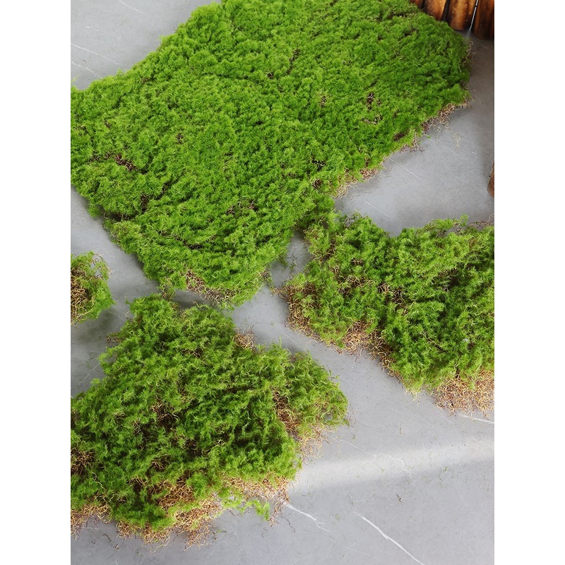 仿真苔藓草皮造景假草坪青苔盆景摄影装饰绿植微景观植绒厂家