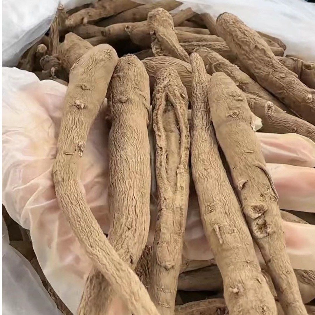 【西藏野生藏当归】西藏发货250G起