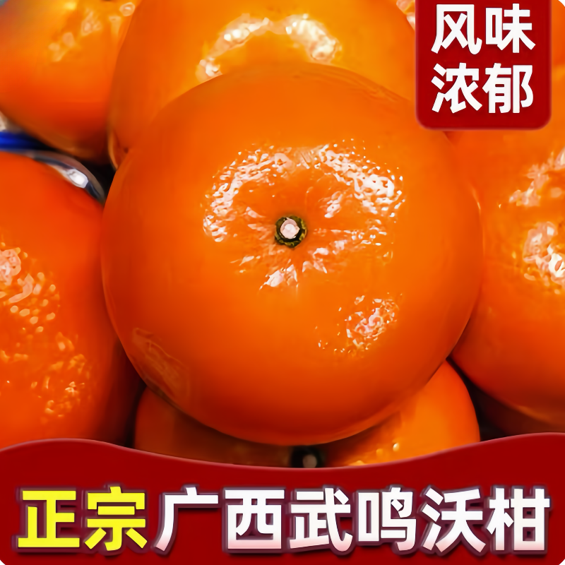 【超甜】广西沃柑武鸣皮薄新鲜水果产地直发大果多汁果园现摘现发