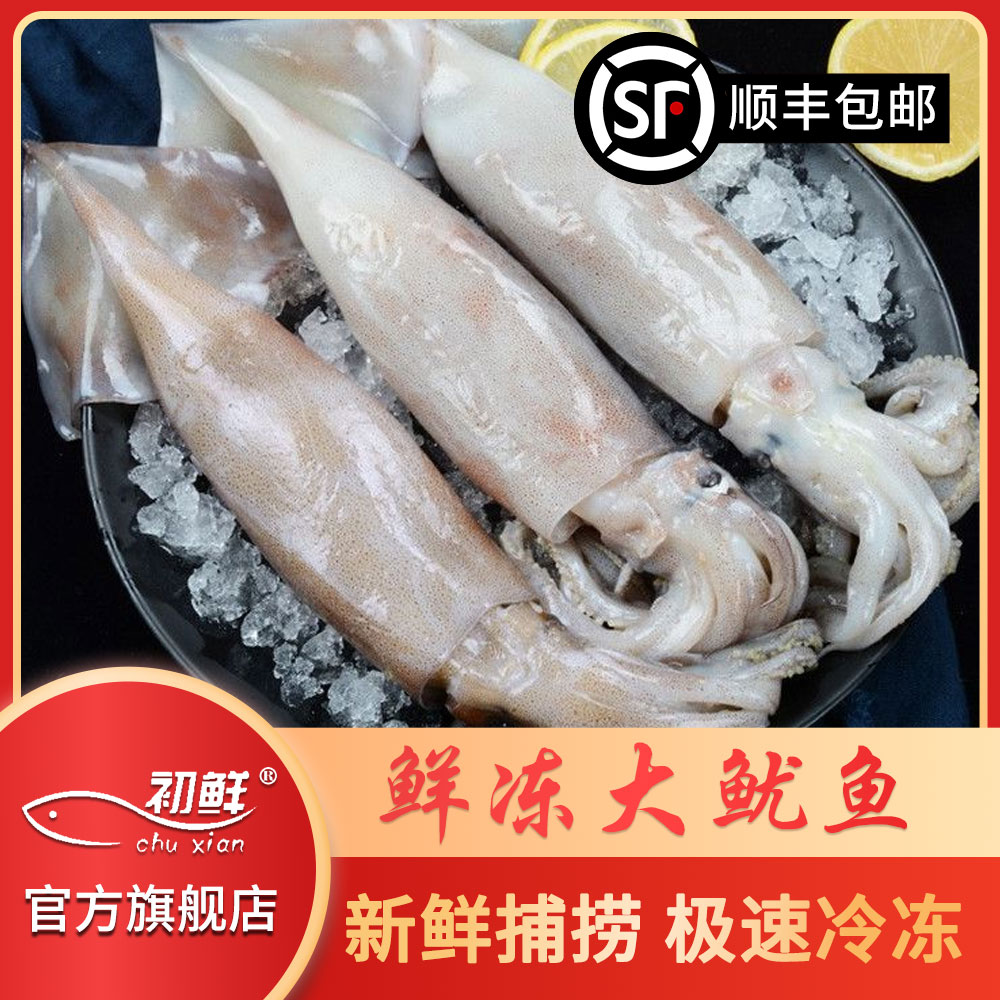 顺丰发货 现捕现发新鲜美味大鱿鱼去内脏去牙齿1