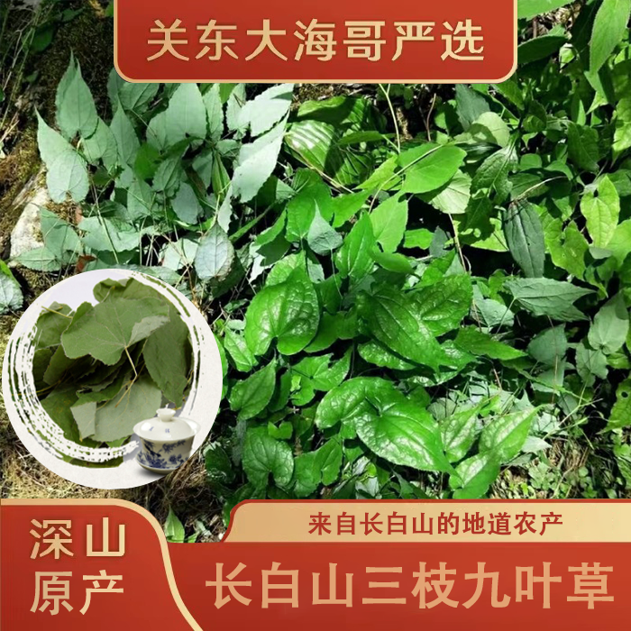 长白山三枝九叶草50克/袋 包邮