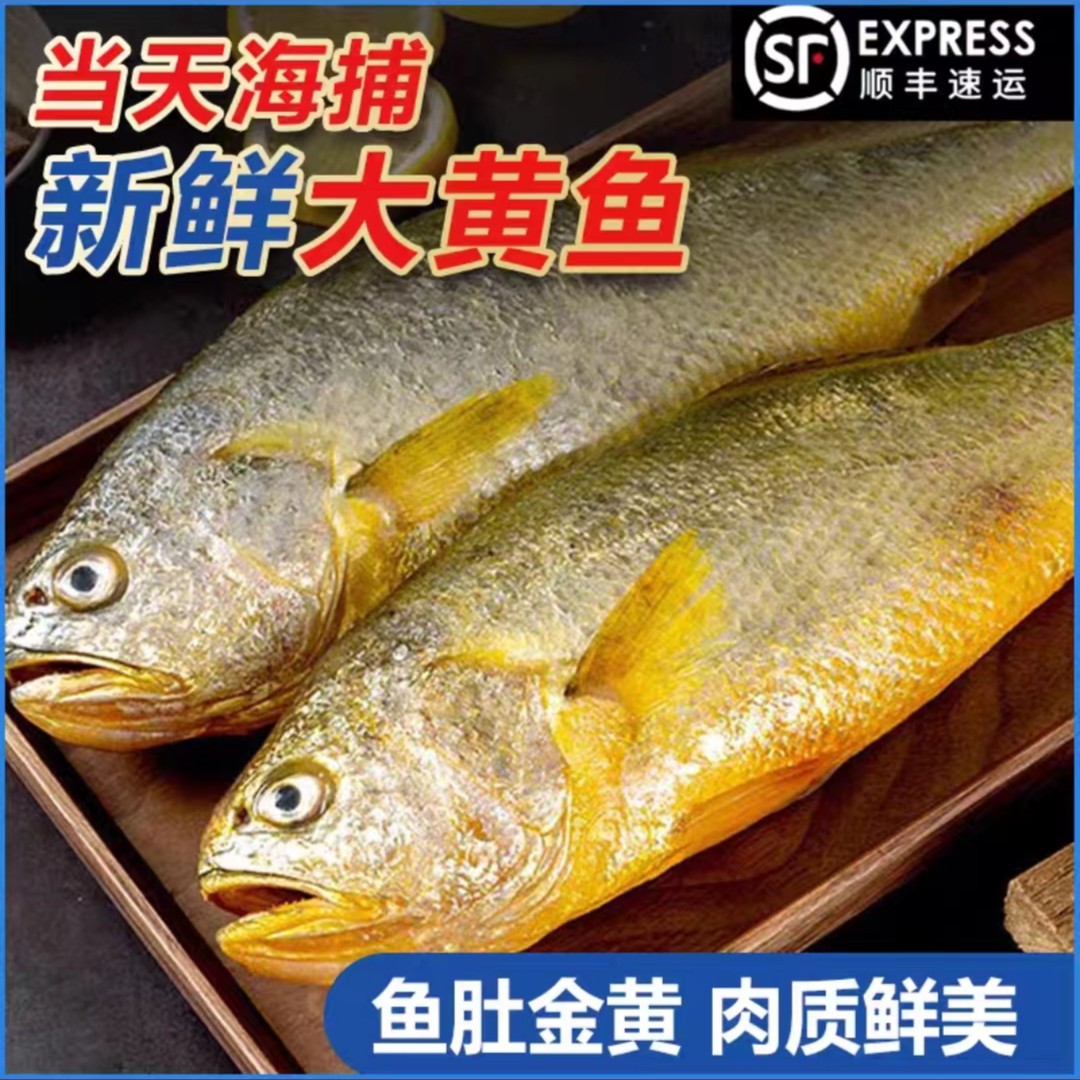 【小月推荐】海捕大黄鱼5两左右/条 新鲜速冻真空独立包装 拍7发9