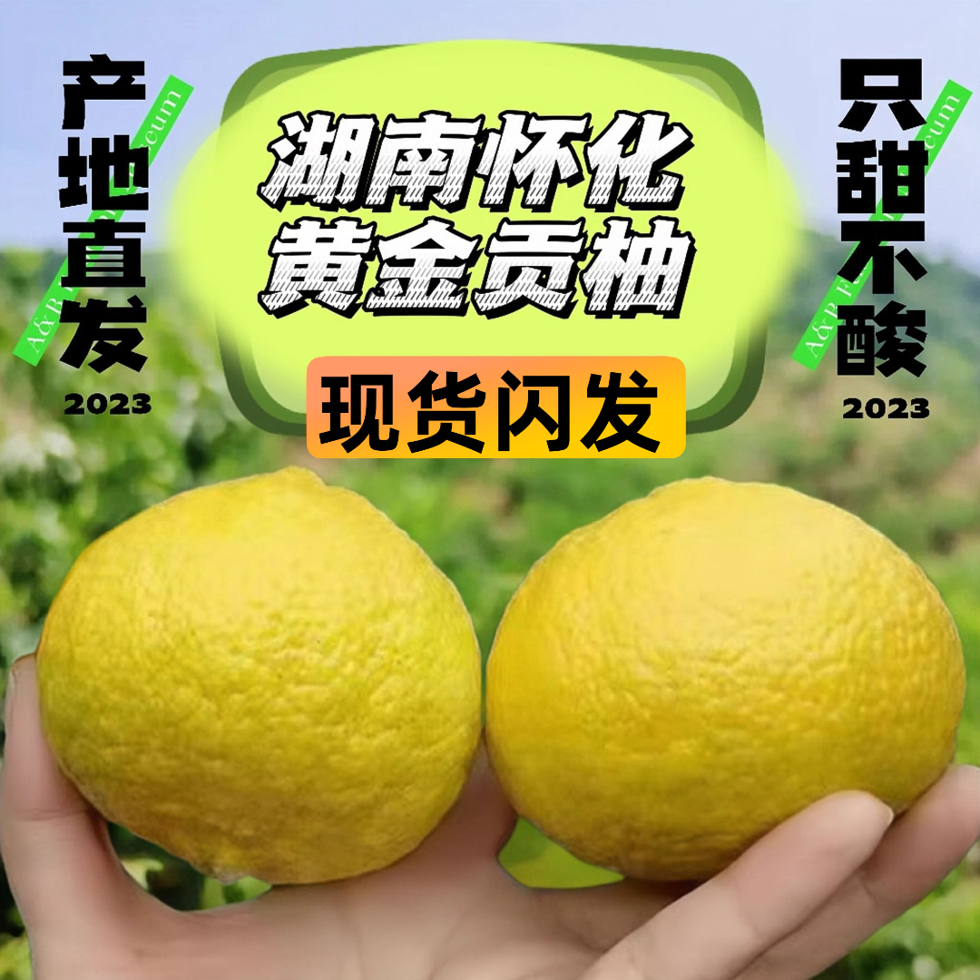湖南怀化洪江安江正宗黄金贡柚新鲜柚子雪峰山优质大果礼盒特产