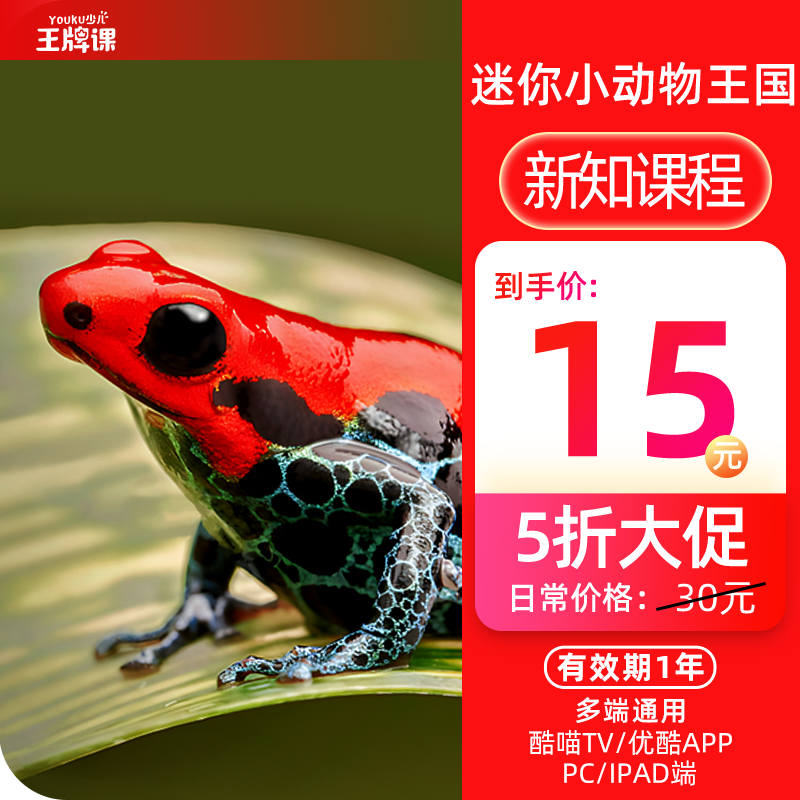 【优酷少儿专属】米拉和星仔：迷你小动物王国