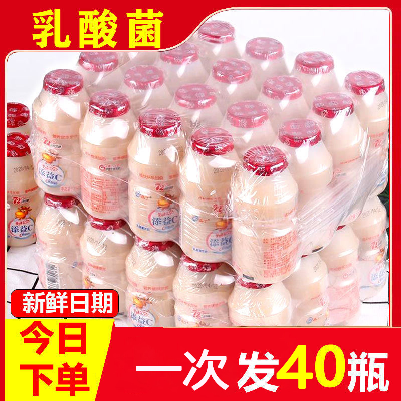 乳酸菌饮品酸奶纯牛奶饮料早餐送礼优酸礼品整箱100ml/20瓶常温