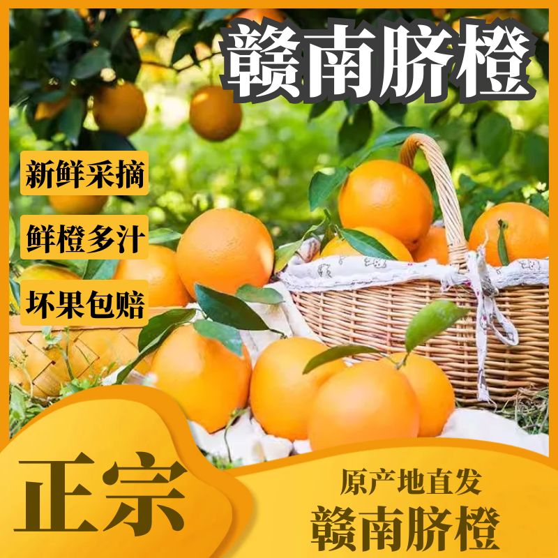 纽荷尔赣南脐橙脐橙当季新鲜孕妇水果江西[带箱10斤]包邮橙香李