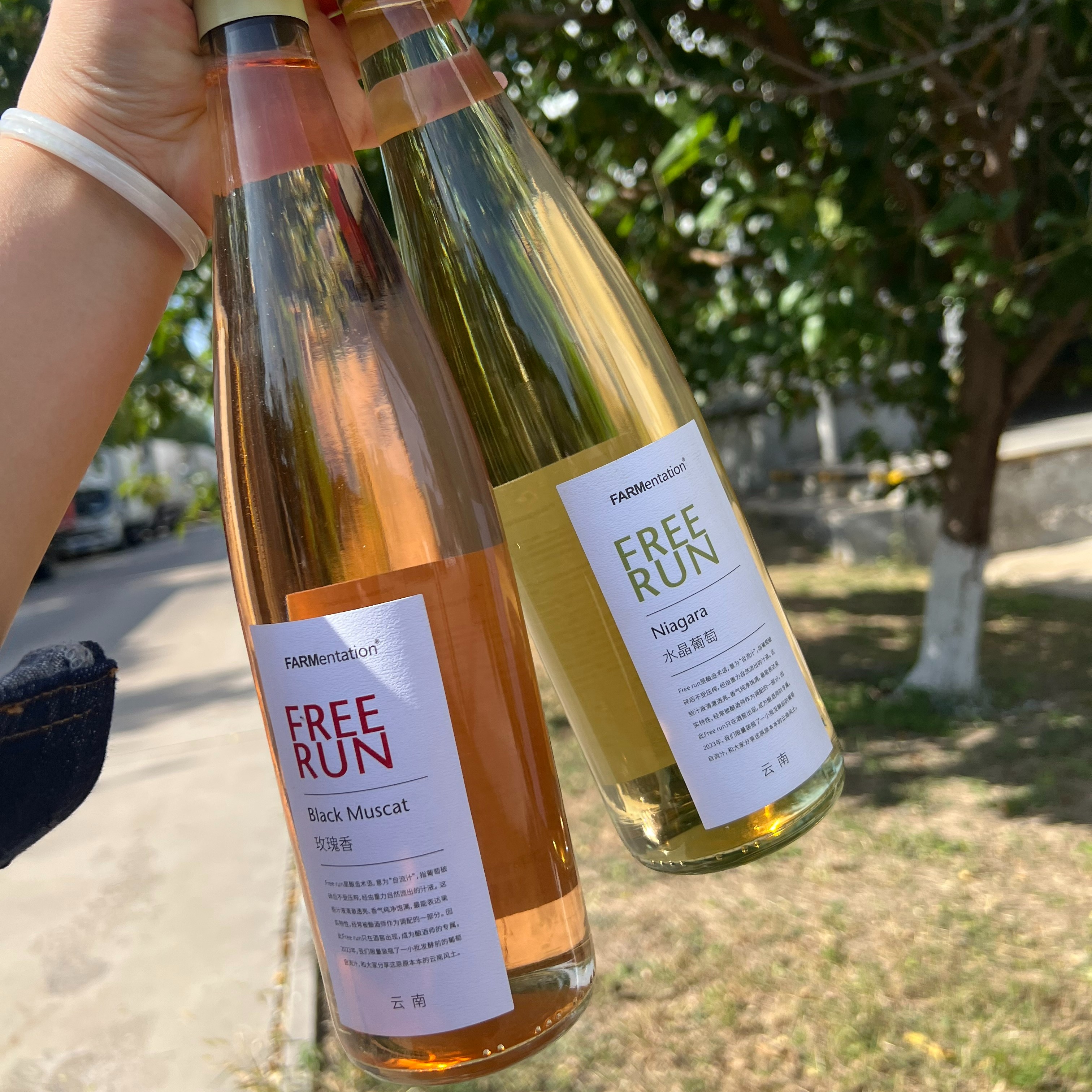 田园酿造 自流汁 玫瑰香 水晶葡萄 1瓶包邮 精酿啤酒  果酒