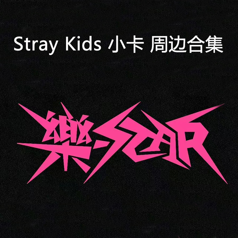 Stray Kids 迷 拍立得 特典卡 随机卡 周边合集