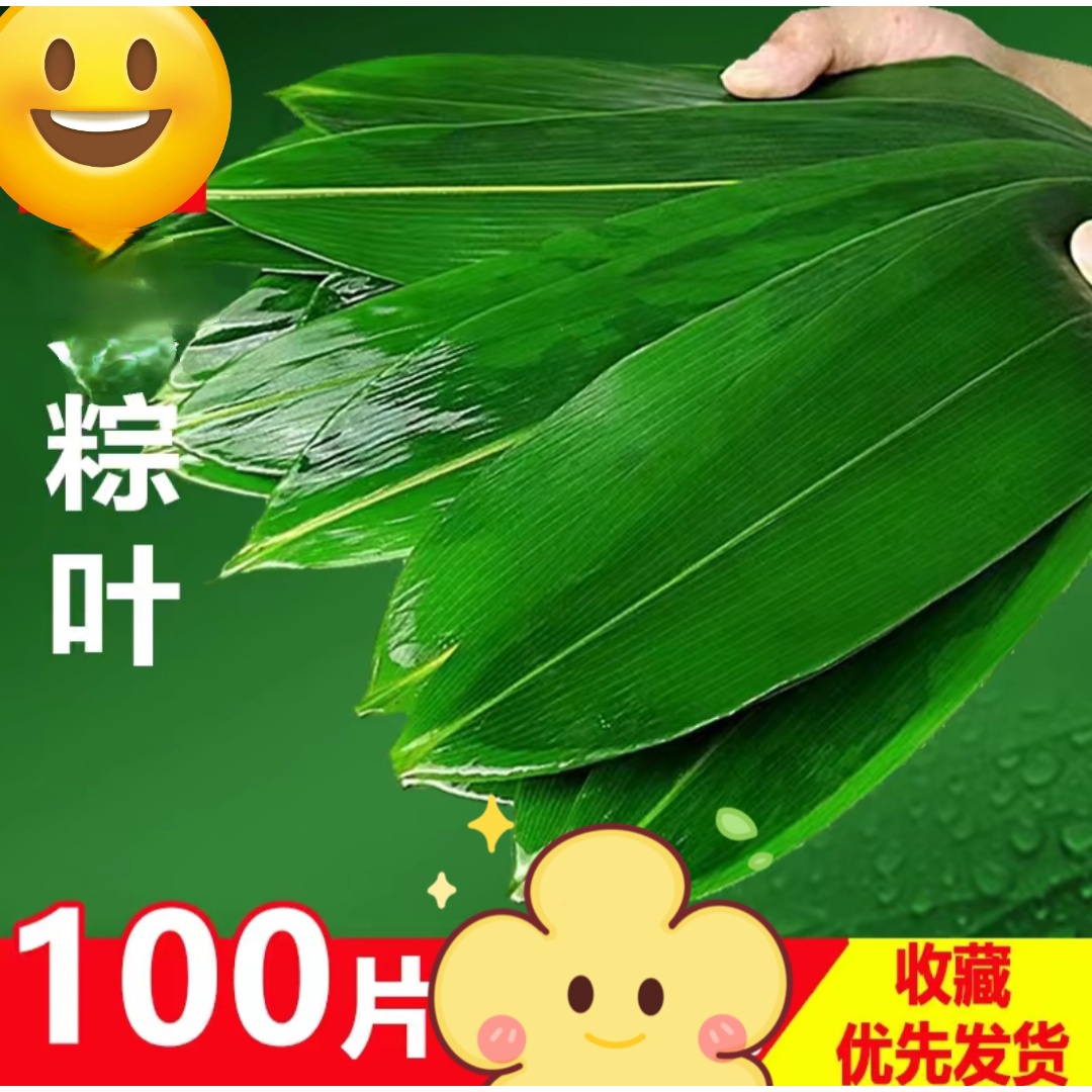端午节【速抢2包】共约100片粽子叶（鲜粽叶）中个宽6到10厘米大小