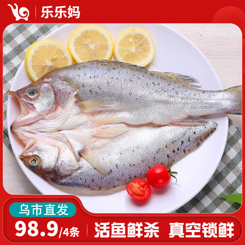 【乌市直发】三去开背海鲈鱼（约450g-500g每条）新鲜冷冻鲜嫩美味