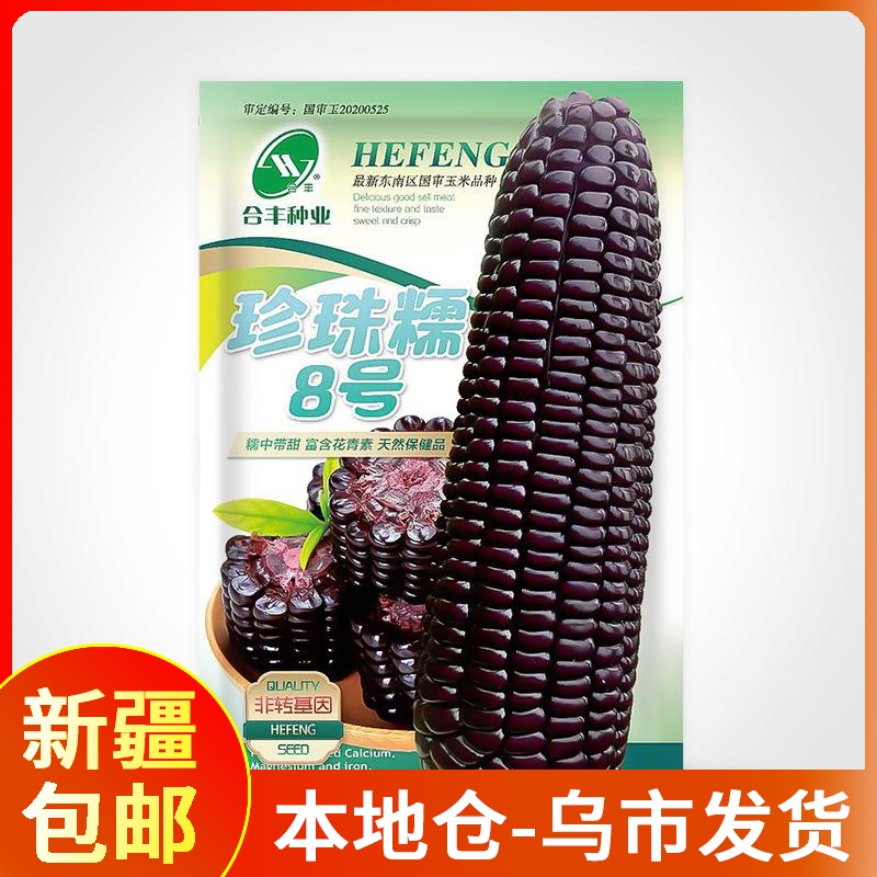 【新疆包邮】甜糯玉米种子黑玉米绿植珍珠糯8号非转基因
