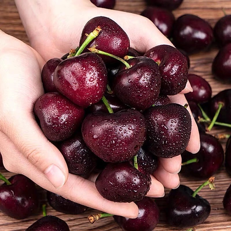 XY智利海运拉宾斯3JD-5JD车厘子D5斤装详情页 内附果径卡