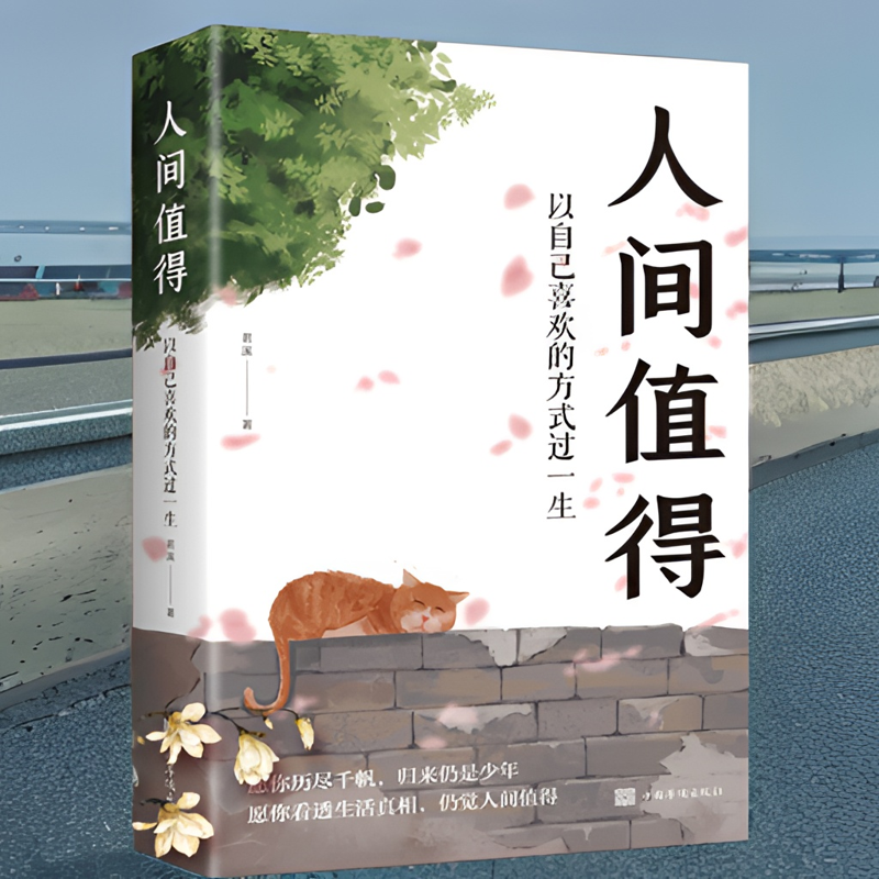 高维增长书底层逻辑人间值得自己喜欢方式书籍图书推荐必读的书董