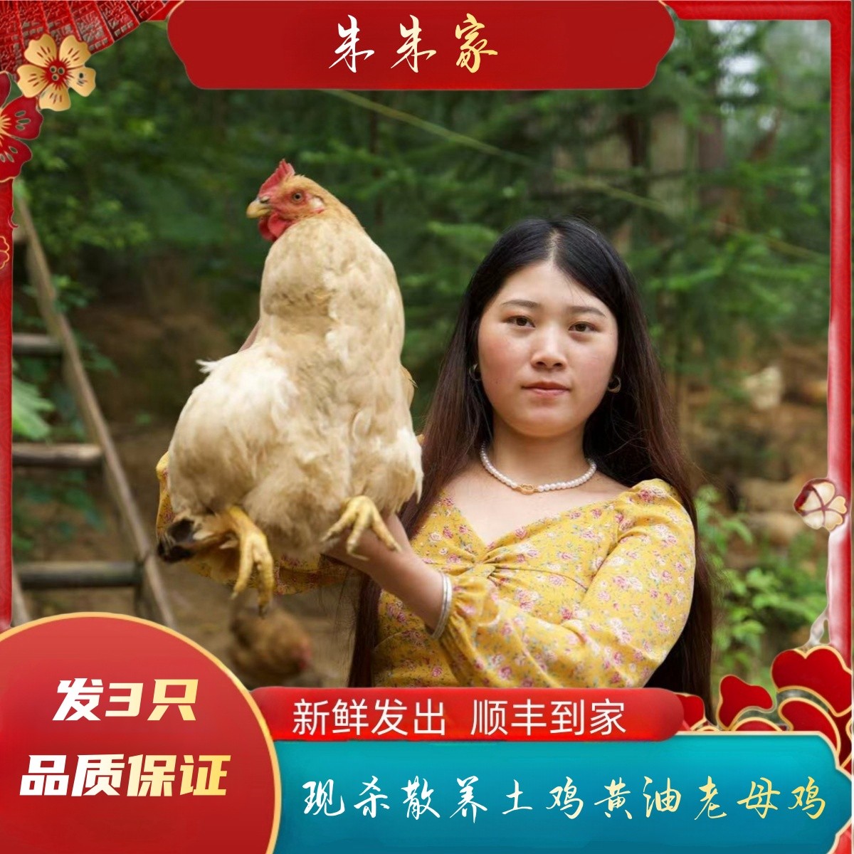 【朱朱家】现杀散养溜达鸡黄油老母鸡 黄脚 净重3只3750克 顺丰到家