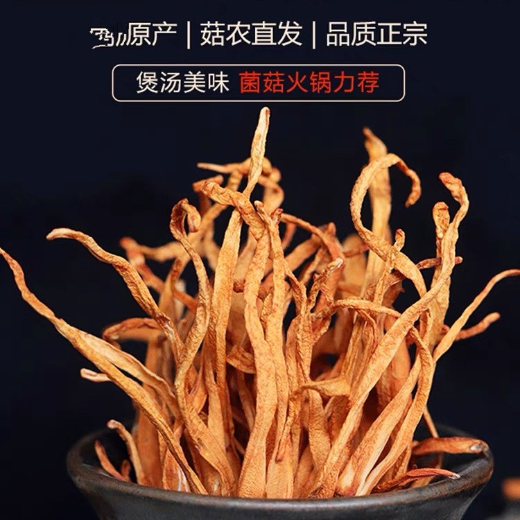 （古田高山虫草花）煲汤孢子头大高山虫草花干货营养干净自然风干