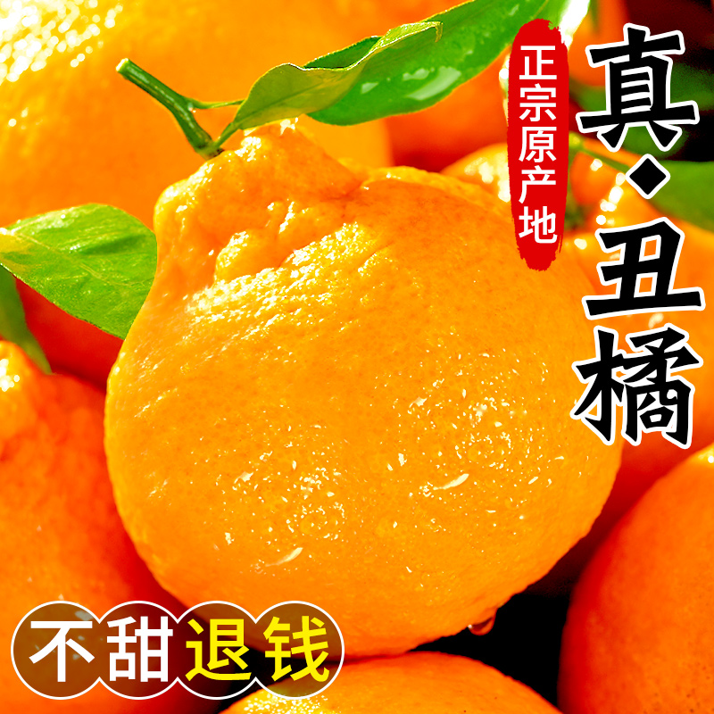 【现摘现发】正宗四川不知火丑橘当季橘子新鲜水果爆甜多汁应季爽口