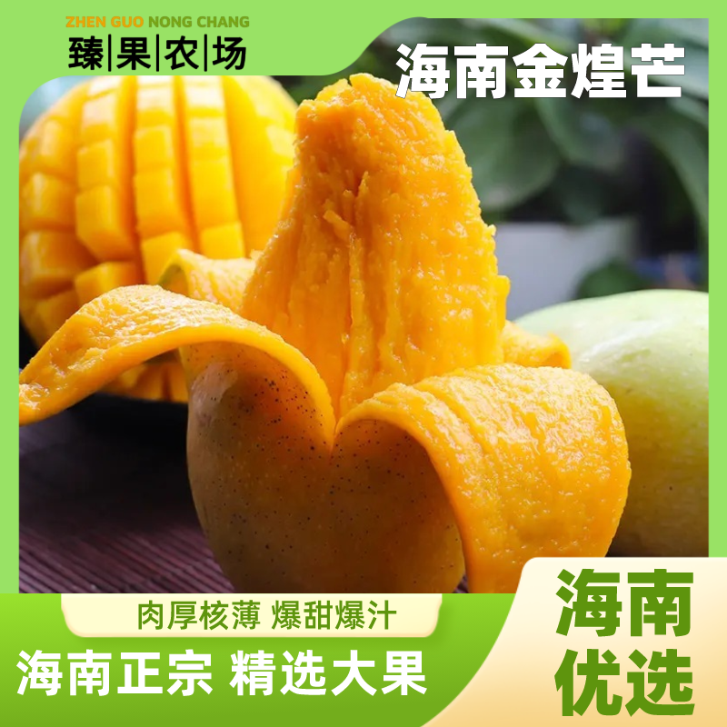 【臻果优选】海南三亚正宗金煌芒果新鲜水果水仙芒大个芒果孕妇水果