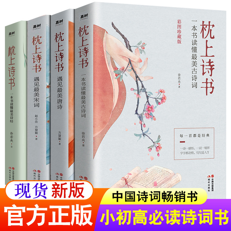 斐玉枕上诗书系列遇见宋词唐诗古诗词中国诗词大会推荐