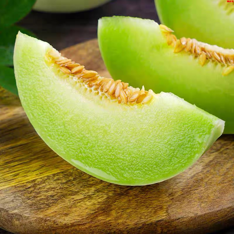【精选好物】白兰瓜+蜜瓜组合 软糯香甜多汁 2颗4.5斤起 辽宁发货