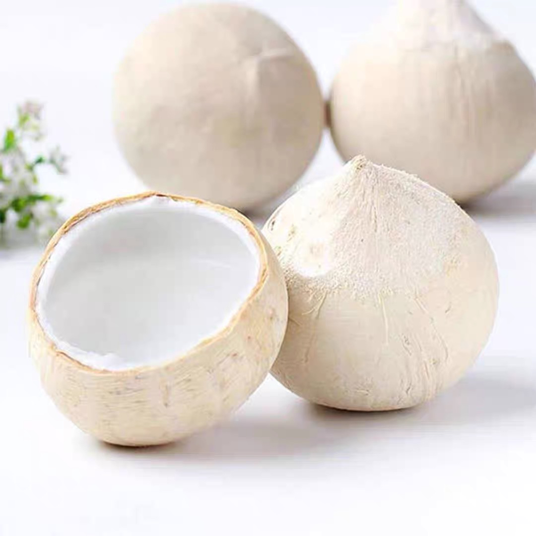 【精选好物】新鲜椰皇 清甜水润可口 1份4颗起 辽宁发货