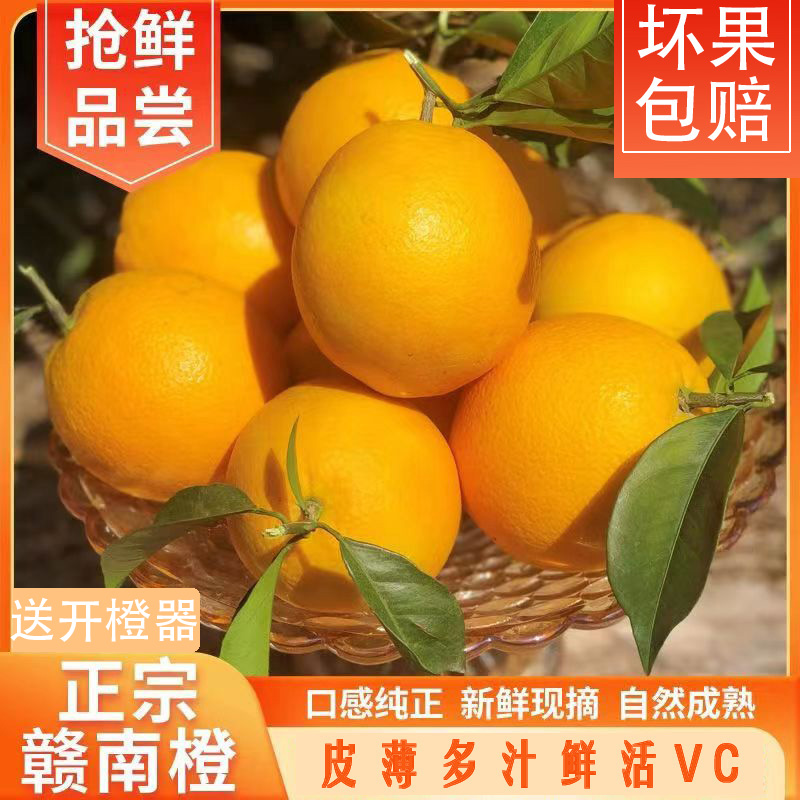 正宗赣南脐橙现采现发产地直发香甜细腻爆汁皮薄鲜甜快递发货五斤