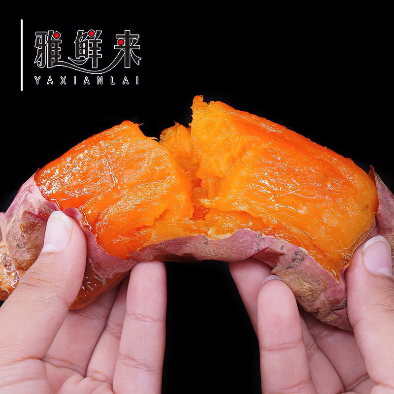烟薯25号真蜜薯烤红薯糖心流油番薯烤地瓜 沙地蜜薯 软糯香甜
