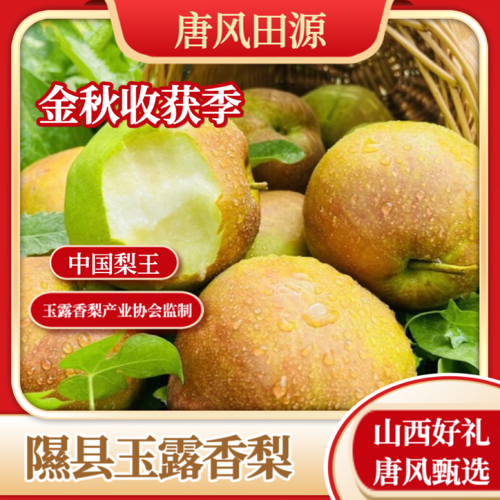 【坏果包赔】山西正宗玉露香梨果大多汁皮薄新鲜礼盒果园