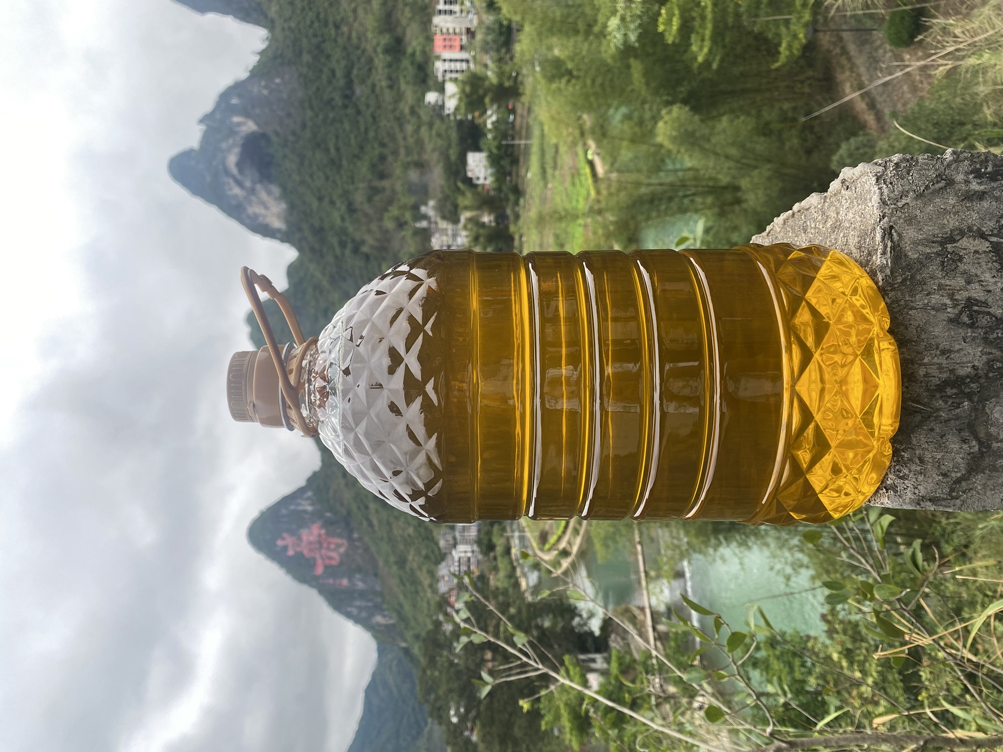 巴马长寿村寿康油坊山茶仁油