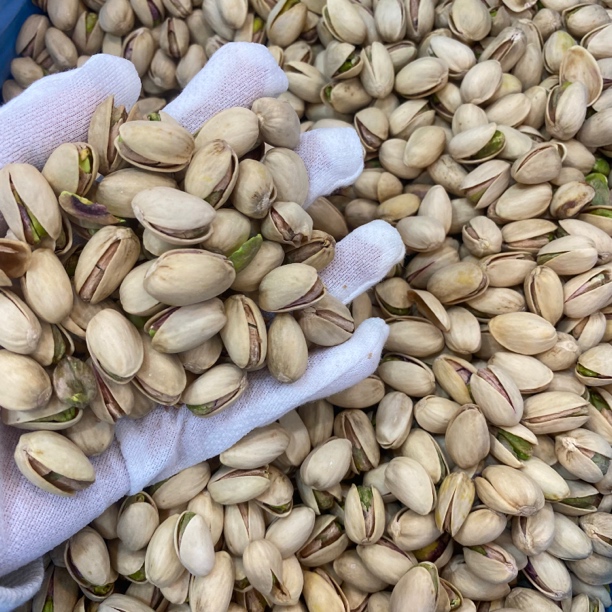 大颗粒盐焗原色开心果【宏大甄选鱼胶】