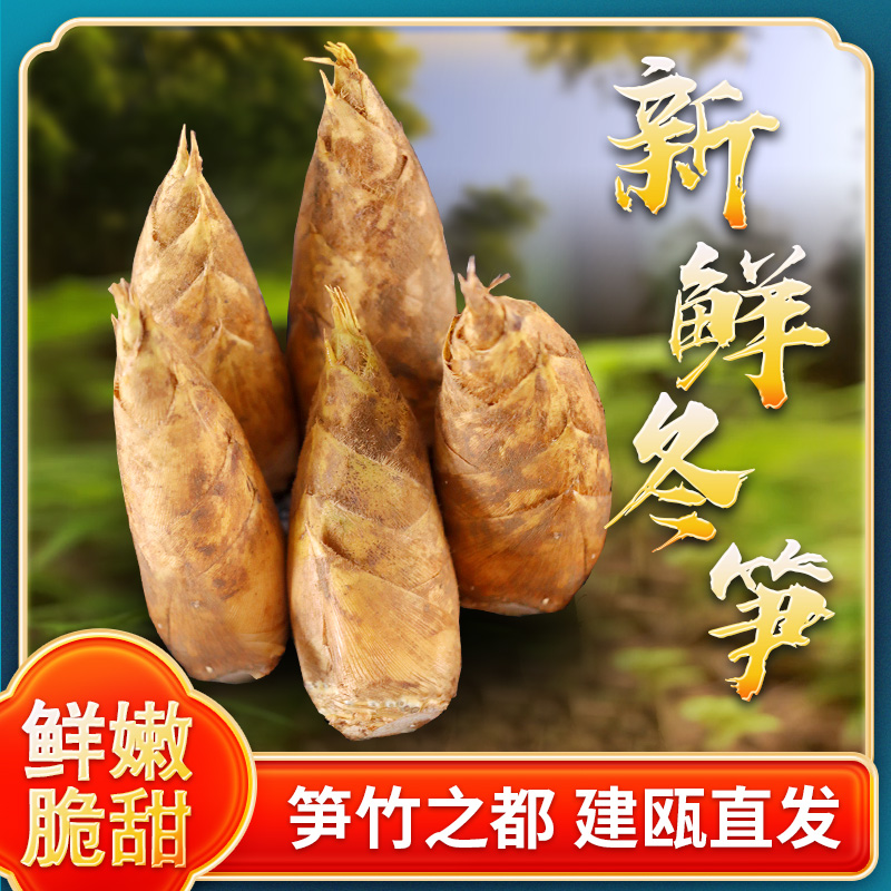 笋竹之都建瓯新鲜冬笋现挖现发新鲜到家精选大果鲜嫩脆甜天然健康