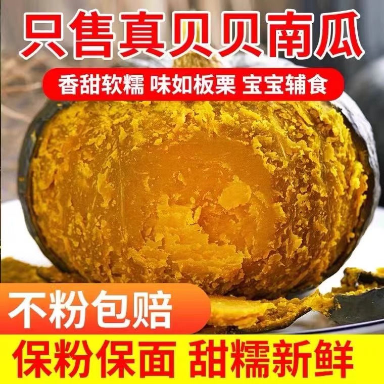 【坏果包赔】带箱5斤正宗真贝贝南瓜板栗味瓜婴儿辅食南瓜粉糯香甜