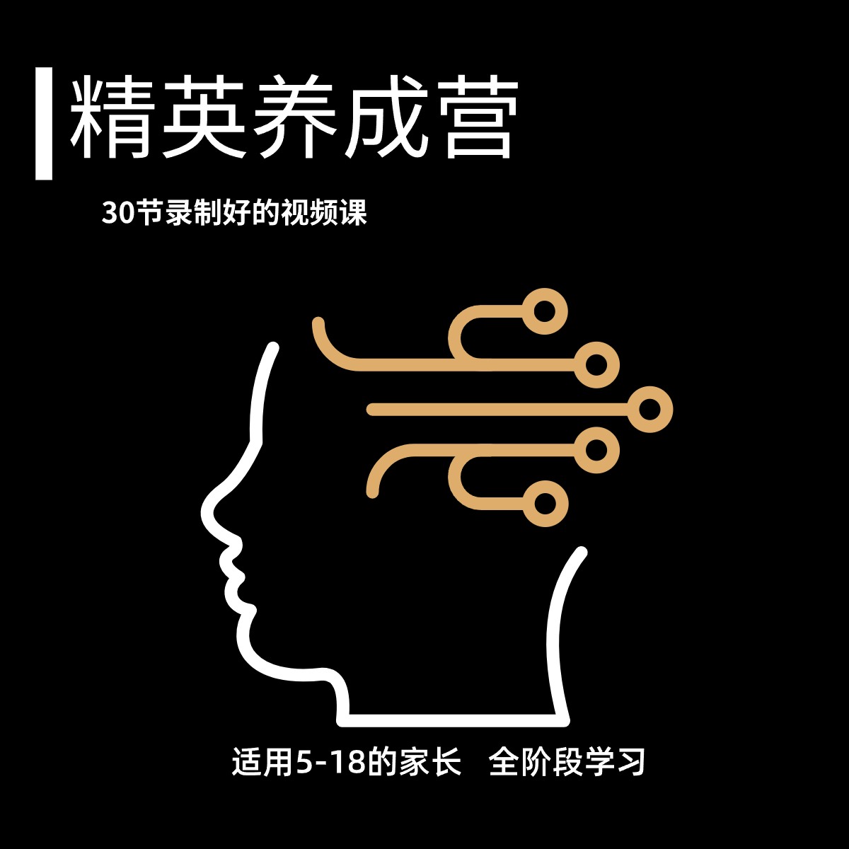 精英养成规划方法营