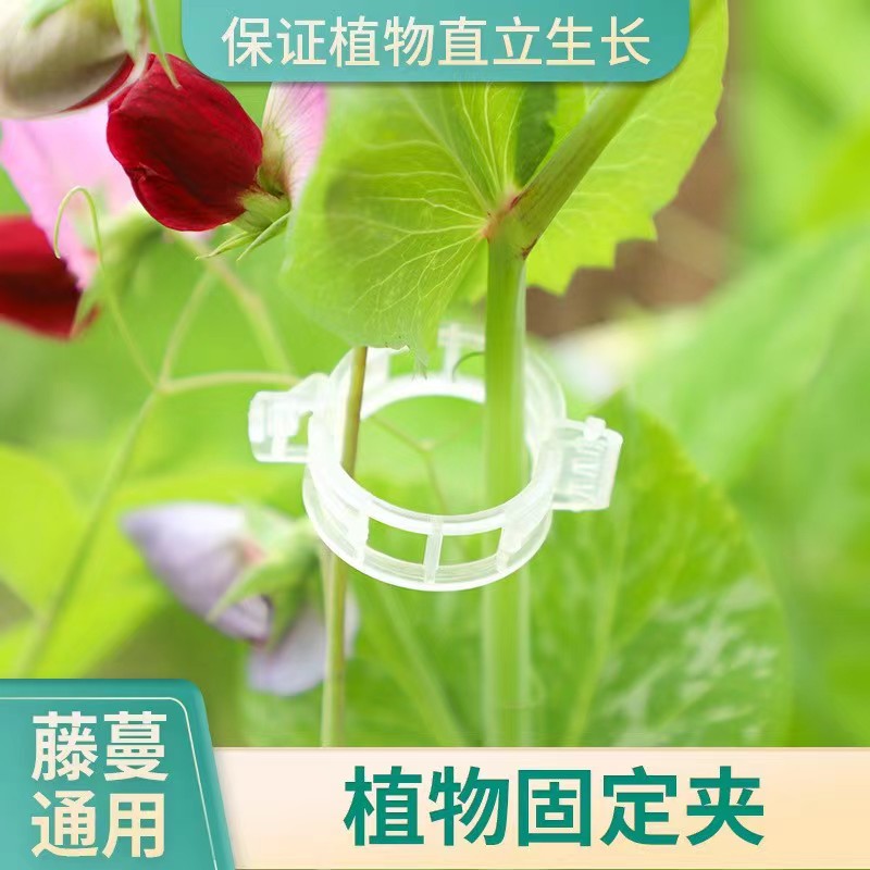 植物瓜果植物夹塑料绑蔓夹吊蔓夹扶蔓夹西红柿夹藤蔓固定夹绑枝夹