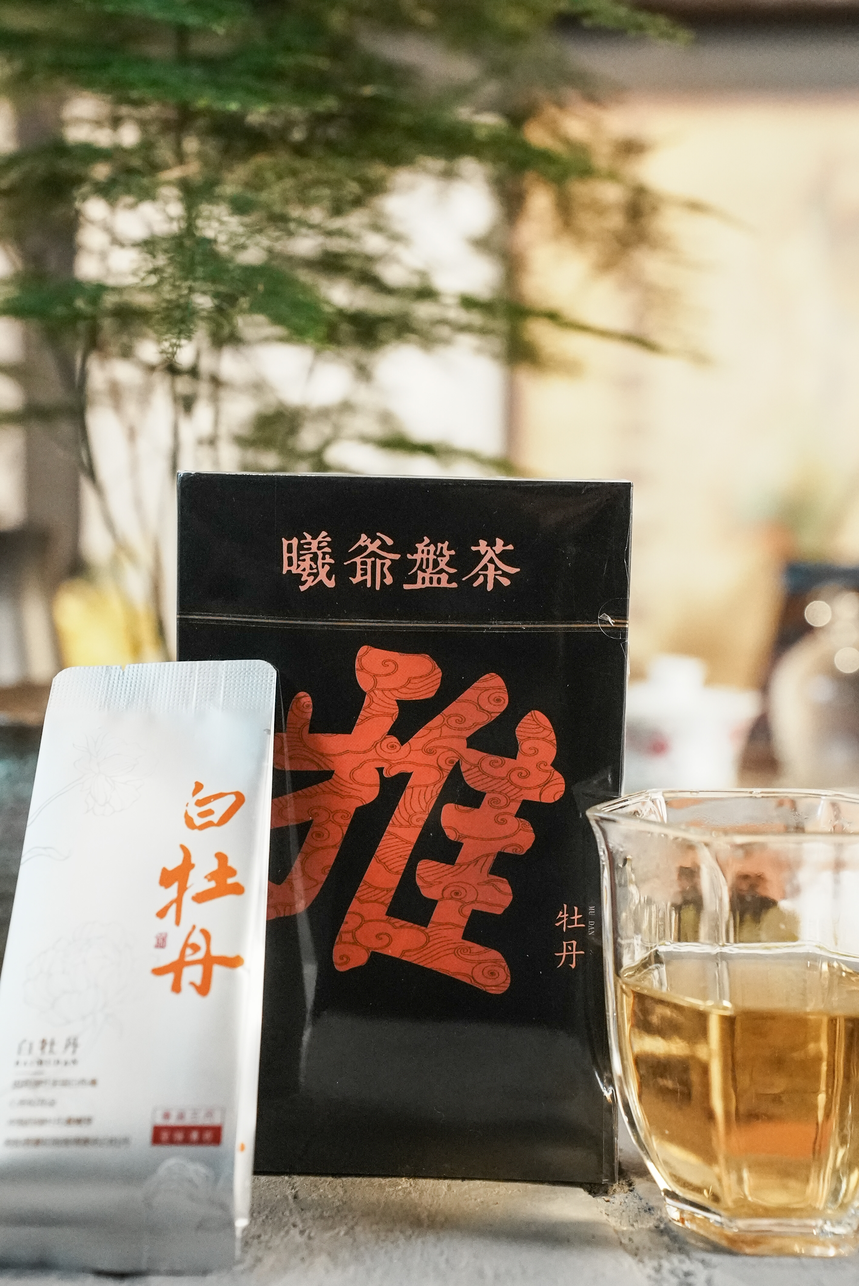 政和白茶样品试喝小样茶白牡丹白毫银针寿眉贡眉福建茶叶品鉴装