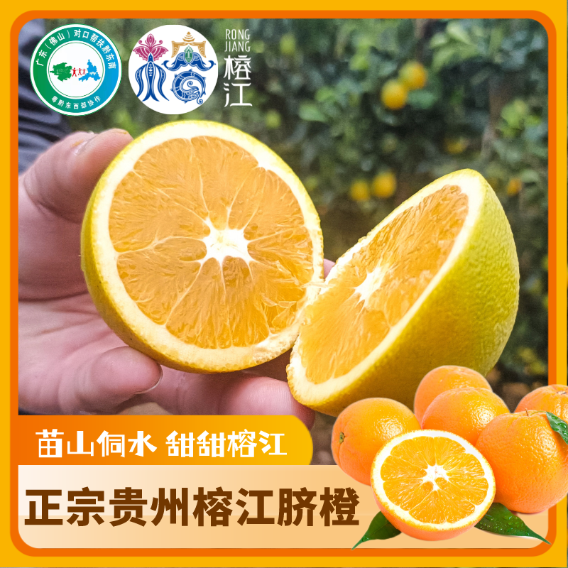 【榕江脐橙顺丰发货】新鲜应季水果贵州榕江脐橙坏果包赔