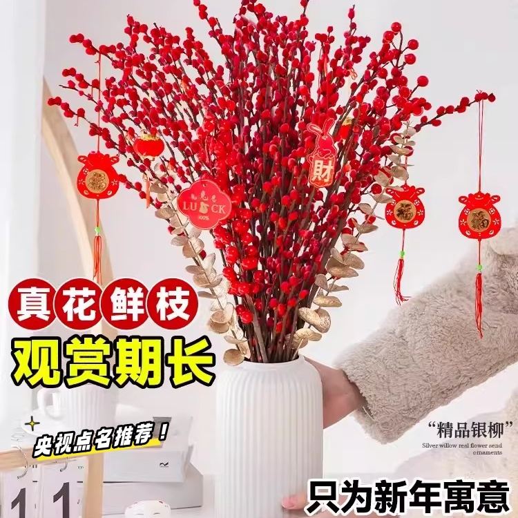红色招财银柳干花真花鲜枝耐寒年宵花水培花卉室内客厅摆放装饰花