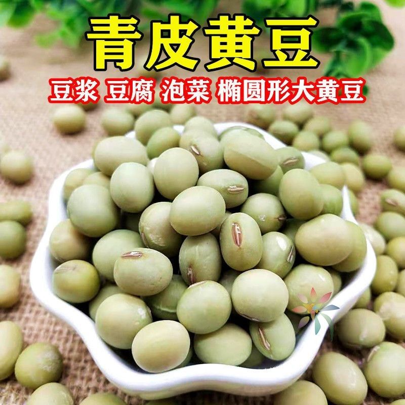 青皮黄豆椭圆形青皮豆农家土黄豆苏北青皮黄豆老品种/0lb蔬菜组合