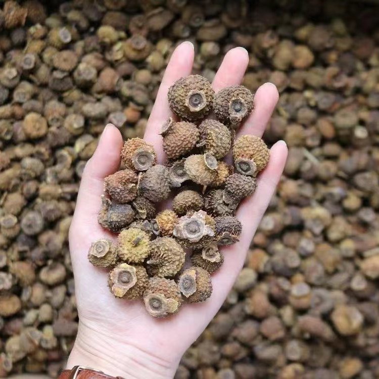 【刺梨】精选大自然天然维C 250g/500g