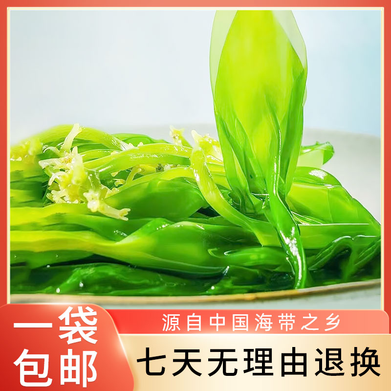 精品鲜食海带 海带苗 海带嫩苗 500g