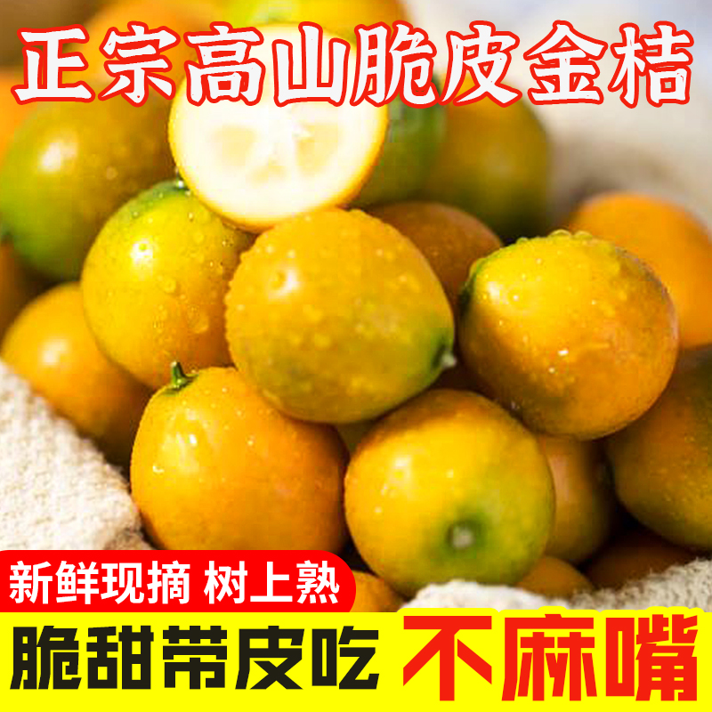 【纯甜无酸】桂林正宗脆皮金桔子新鲜水果小橘子非融安滑皮金桔柑橘