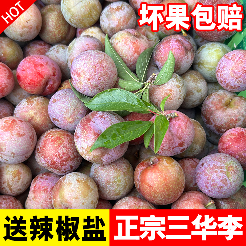 信宜钱排三华李正宗新鲜现摘红心当季孕妇酸脆微甜水果广东李子