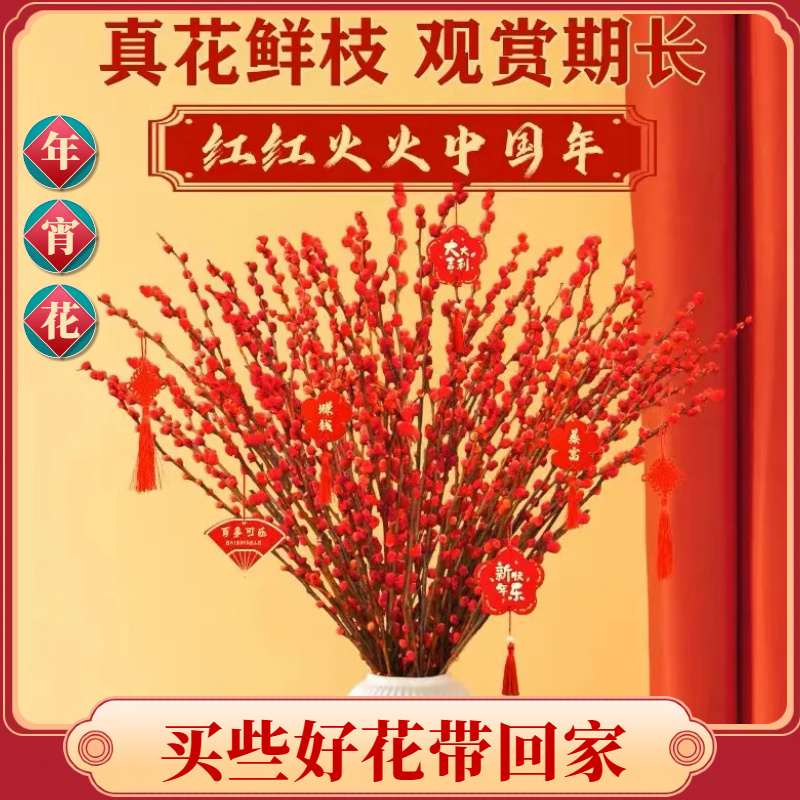 红色银柳  染色年宵花 红色招财新年耐寒干花真花鲜枝水培装饰花