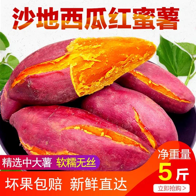 河南黄河滩沙地蜜薯 精品5斤装 糖心蜜薯-西瓜红蜜薯