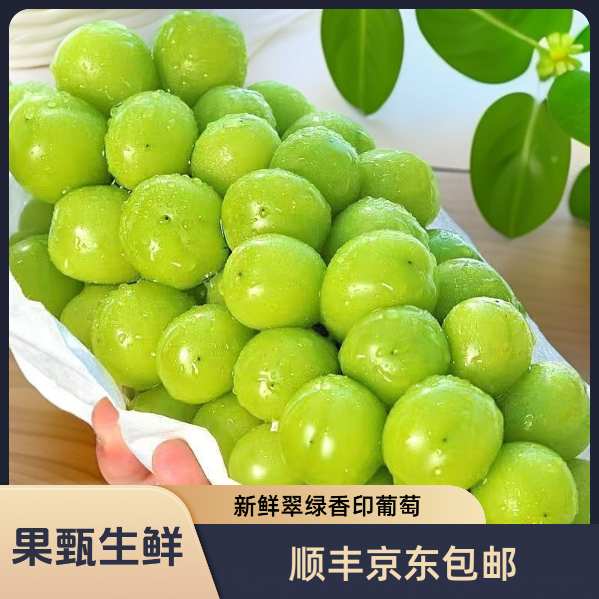 [果果]晴王葡萄净果4-4.5斤 顺丰京东包邮[运输会轻微掉粒]